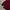 LMC Minimalist Casual Sweatshirt Pria red photo 4