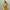 Summer Floral Yellow Dress Fairy Coquette Vintage Y2K Beach photo 4