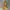 Summer Floral Yellow Dress Fairy Coquette Vintage Y2K Beach photo 5