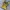 Ribbon Cute Yellow Top T-Shirt Kaos photo 5