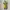 Ribbon Cute Yellow Top T-Shirt Kaos photo 2