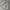 Prime Pattern Ruffle Longsleeve T-Shirt Kaos Lengan Panjang  photo 5