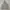 Grooverhyme Streetwear Casual Hoody Pria gray photo 3
