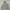 Grooverhyme Streetwear Casual Hoody Pria Gray