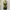 Summer TankTop Bohemian Boho Ombre Vintage Y2K Sleeveless photo 5