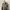 Shirt KemejaLongsleeve Fitted Denim Jeans Gradation Body Fit photo 4