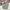 SWEATPANTS HNM DIVIDE BASIC DAILY