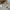 Hush Puppies Vintage Y2K Puffer jacket Pria khaki photo 8