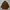 Vintage Y2K Parka Pria Brown