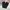 SWEATPANTS NIKE SMALL LOGO photo 1