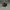 Snapback Air Jordan Original - Nike Air Jordan  photo 2