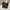 SWEATPANTS MASNOUN Y2K HEAVY WEIGHT photo 1
