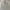 Japanese brand Y2K Casual Harrington jacket Pria cream photo 1