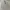 Japanese Brand Y2K Casual Harrington Jacket Pria Cream