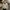 Japanese brand Y2K Casual Harrington jacket Pria cream photo 1