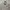 Japanese Brand Y2K Casual Harrington Jacket Pria Cream