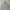 Japanese brand Y2K Casual Harrington jacket Pria cream photo 1