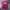 Thrasher Streetwear Casual T-shirt Pria burgundy photo 1