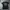 BOY London Casual T-shirt Pria Black