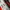Y2K Hair accessory Wanita red black photo 4