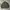 Bomber jacket gu revesible boxy photo 2