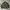 Bomber Jacket Gu Revesible Boxy