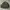 Bomber Jacket Gu Revesible Boxy