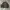 Bomber jacket gu revesible boxy photo 4
