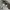 Japanese brand Vintage Casual Harrington jacket Pria gray photo 8