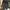 Grunge Goth Trench coat Wanita black photo 2