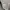 Lafudge Streetwear Casual Casual shirt Pria white tan photo 3