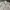 Lafudge Streetwear Casual Casual shirt Pria white tan photo 2