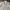Lafudge Streetwear Casual Casual Shirt Pria White Tan
