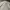 Lafudge Streetwear Casual Casual shirt Pria white tan photo 8