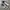 Nike Streetwear Casual Sneakers Pria white navy photo 1