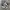 Nike Streetwear Casual Sneakers Pria white navy photo 2
