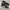 Nike Streetwear Casual Sneakers Pria black photo 1
