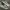 Nike Streetwear Casual Sneakers Pria white tan photo 2