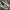 Nike Streetwear Casual Sneakers Pria White Tan