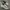 Nike Streetwear Casual Sneakers Pria white tan photo 1