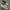 Nike Streetwear Casual Sneakers Pria White Tan