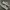 Nike Streetwear Casual Sneakers Pria white tan photo 3
