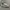 Nike Streetwear Casual Sneakers Pria white tan photo 5