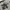 Descente Sportswear Casual Track jacket Pria black gray photo 6