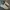 Reebok Streetwear Casual Sneakers Pria white tan photo 1