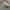 Reebok Streetwear Casual Sneakers Pria white tan photo 5