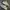 Reebok Streetwear Casual Sneakers Pria white tan photo 3