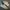 Reebok Streetwear Casual Sneakers Pria white tan photo 2