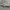 Puma Streetwear Casual Sneakers Pria white tan photo 5