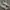 Puma Streetwear Casual Sneakers Pria white tan photo 3